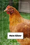Meine Hühner: Notizbuch für Hühnerhalter inkl. Bestandsregister und Eierkalender