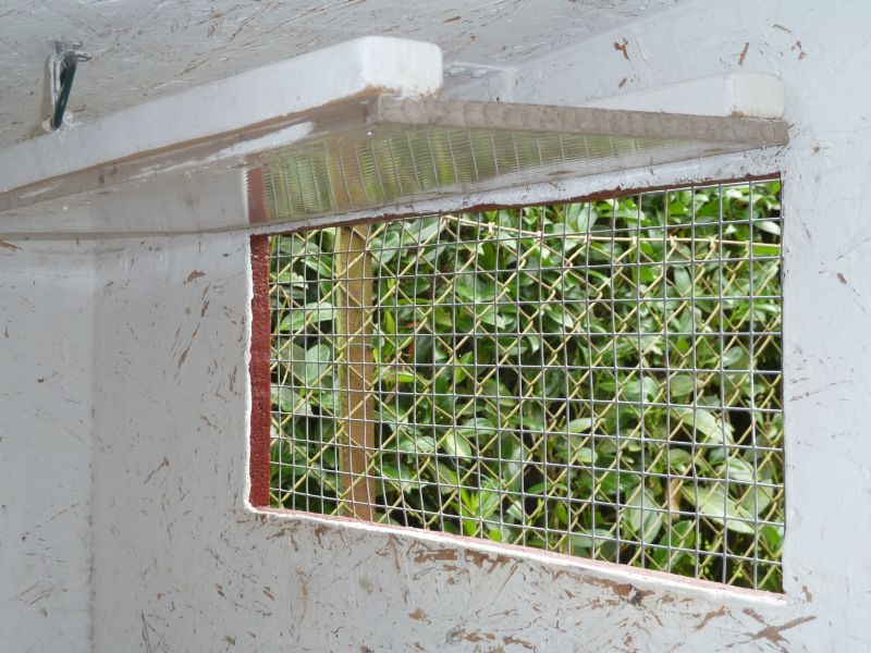 Der Zwerghuhnstall - Planungshilfe und Tipps für den idealen Hühnerstall