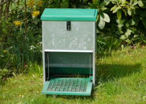 Futterautomat für Hühner