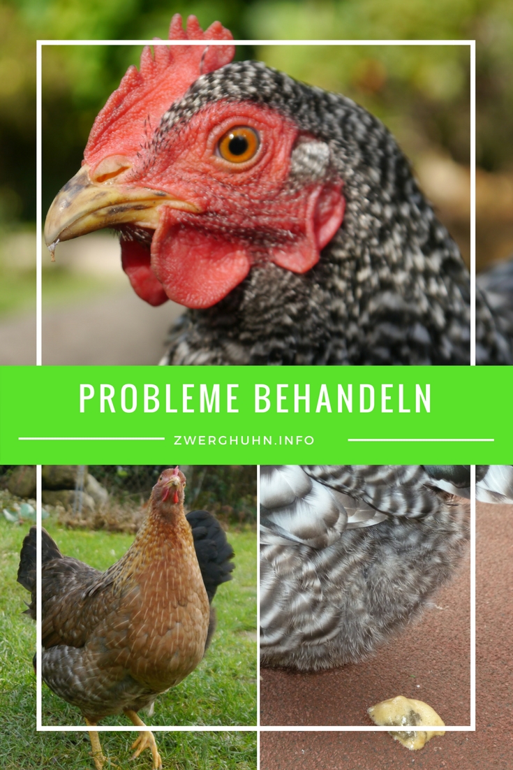 Probleme bei Hühnern behandeln und erkennen, Durchfall, Kropfverstopfung